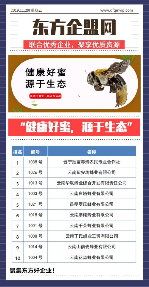 健康好蜜，源于生態(tài)——昆明市蜂業(yè)公司評選活動信息技術(shù)咨詢服務方案